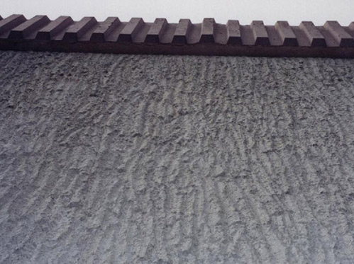 Tree Bark