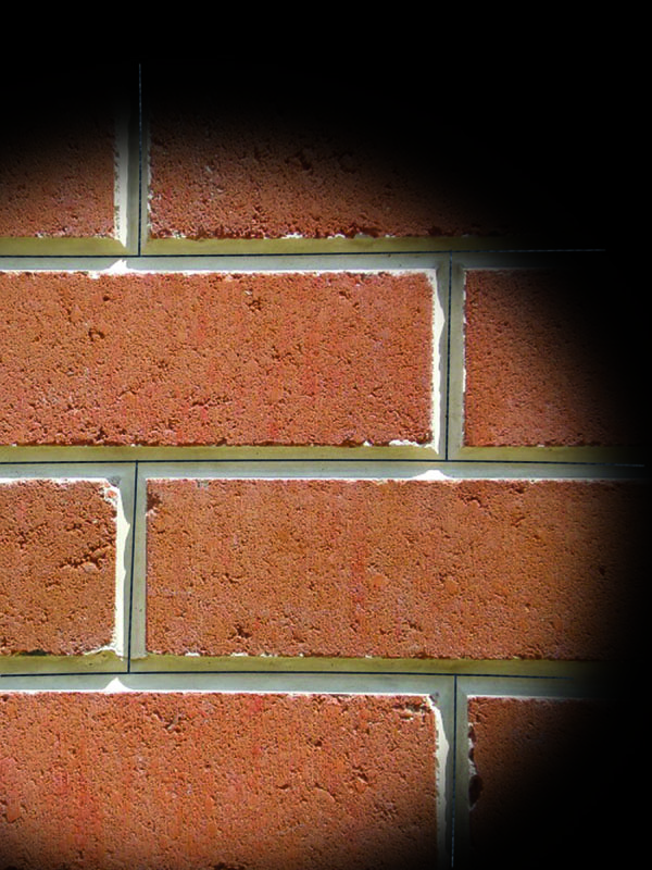 Versa-Brix®-Grapevine